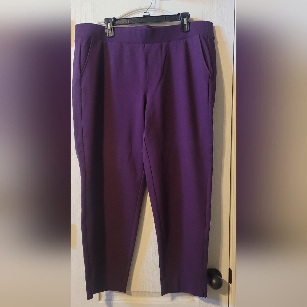 Torrid Pull on Pant